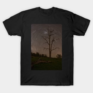 The Stars at Night, Are Big and Bright... T-Shirt